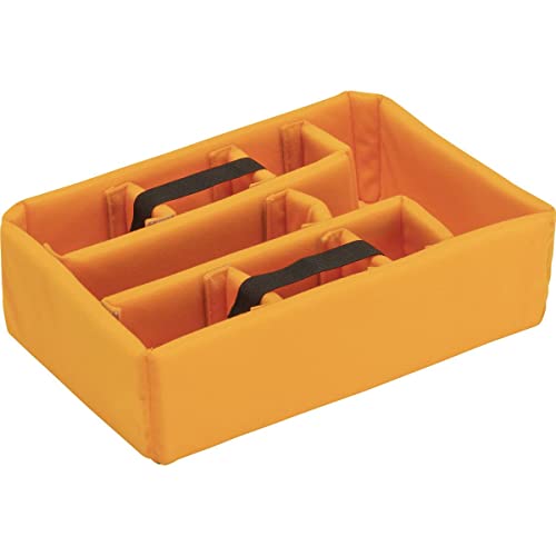 Pelican Vault V200 Multi-Purpose Hard Case With Padded Dividers For Camera, Drone, Equipment, Electronics, And Gear (Black) #TOP5