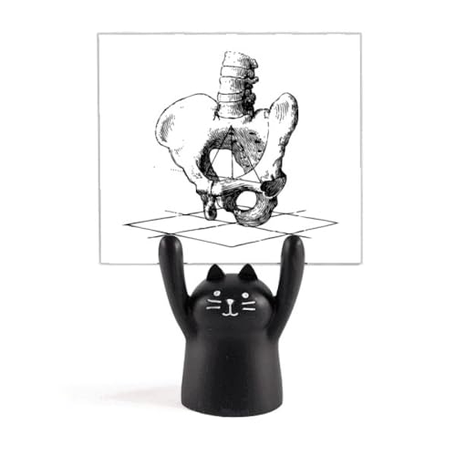 Support de croquis squelette humain et chat noir, cadeau idéal pour artiste