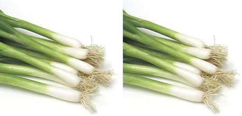 Vegetales