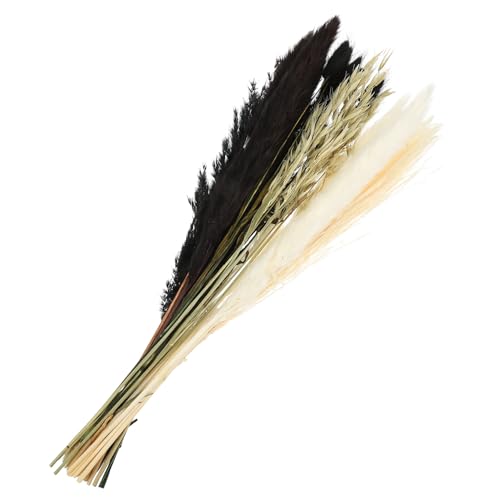 Ramo de juncos preservados decorativos miniatura 1
