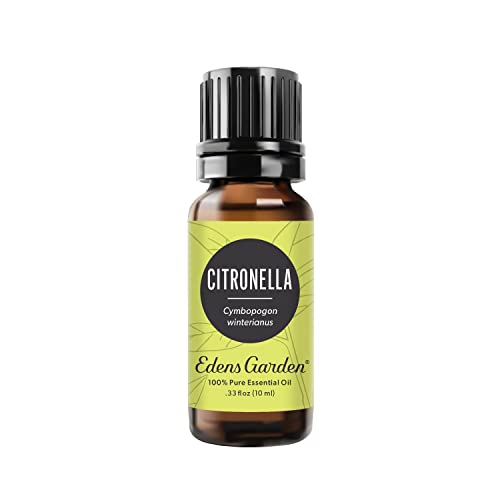 Edens Garden Citronella Essential Oil- 100% Pure Premium Grade, Undiluted, Natural, Therapeutic, Aromatherapy, The Best for Diffuser, Skin, Candle, Kid Safe 10 ml (.33 fl oz)