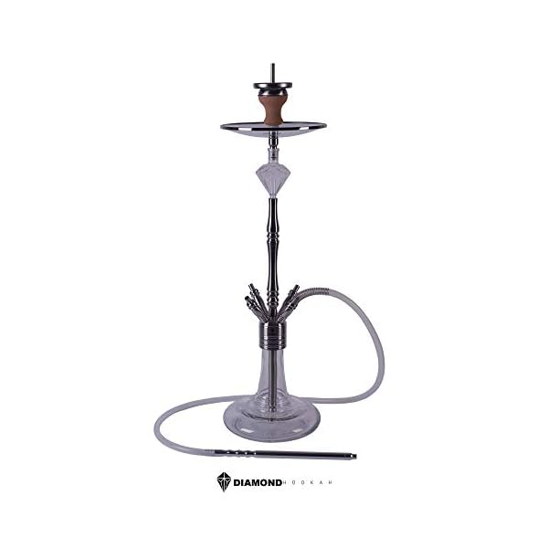 DIAMOND HOOKAH Premium Rubin Shisha Set, Wasserpfeife Shisha Edelstahl Komplettset mit 4 Anschlüsse/Schläuche. 18/8…
