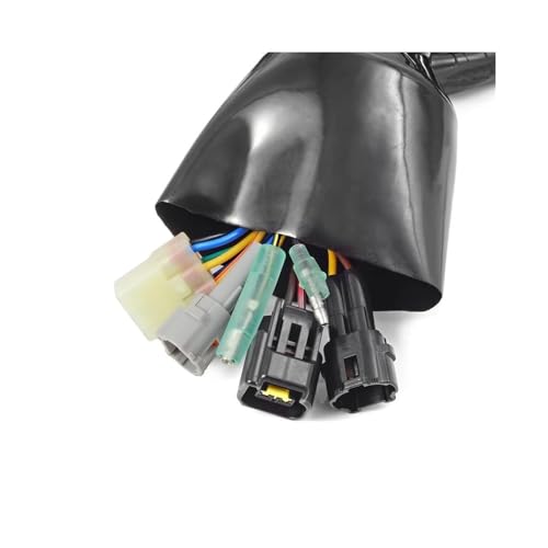 Faisceau électrique principal pour YFZ450 année 2004-2005 - 4