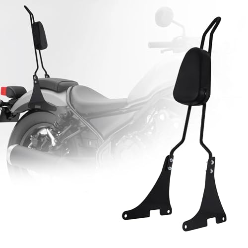 Dossier de barre sissy moto pour les road trips en duo sur Harley Davidson XL1200C de 1997