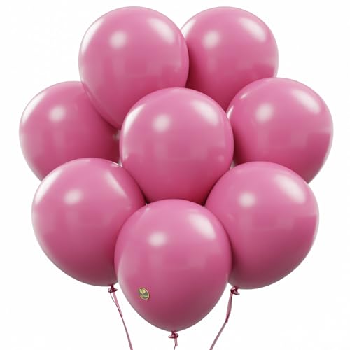 Image of AFTERLOON Biodegradable Natural Rubber Latex Balloons 24 pcs Bubble Gum Pink 10 Inch, Plastic-Free Alternative Matte Color Durable Thickened Extra Strong Helium Float, ballon Globos Decor De Fiestas