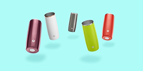 Snowfox Premium Vacuum Insulated Stainless Steel Cocktail Glass / Drink Tumbler - Set Of 2 - Drinks Stay Icy Cold - Thermal Highball Glasses - Elegant Home Entertaining - Classic Barware - 14.5 Oz #TOP6