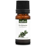 La Compagnie des Sens