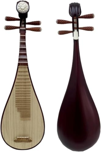 琵琶 楽器」の人気商品一覧 | 安い商品を通販サイトから探す - 価格.com