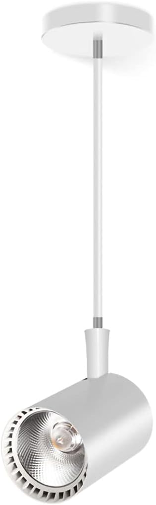Muteiki Indoor Outdoor Spotlight, Led 360 ° Draaibare Downspotverstelbaar, Moderne Plafond Spot Slaapkamer Wandlamp Met 50-100 Cm Telescopische Lamp Arm, Hal Lamp, Aluminium, Wit/White