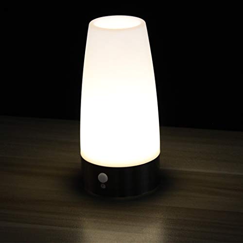 PetGirl Retro LED Night Light for Home,Small Lamp with Wireless PIR LED Motion Sensor Indoor/Outdoor - //coolthings.us