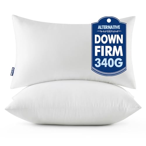 MIULEE 12x24 Throw Pillows Inserts 2 Pack Decorative Pillows for Couch Bed