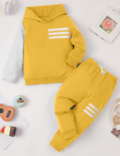Image of Toddler Boy Clothes Long Sleeve Hoodie Sweatsuits Tops and Pants 2Pcs Boys Fall Winter Outfits Set