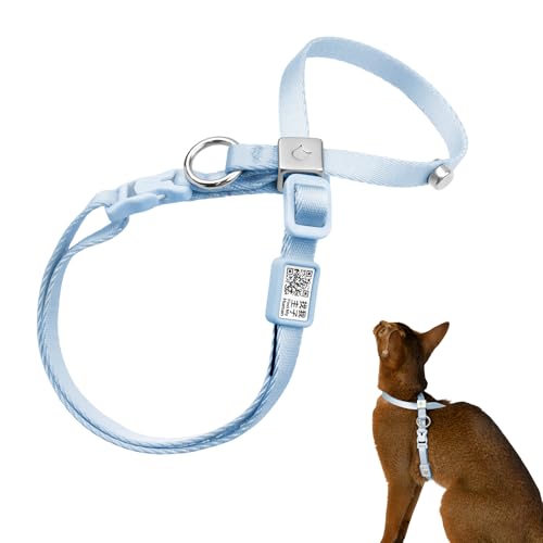 BuddyArmor Escape Proof Cat Harness Anti-Choke Quick Release, Sierra Blue