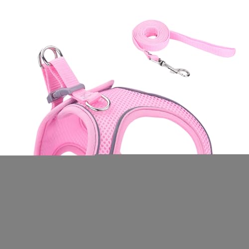 Cat Harness Eh~ | \ Up Lp n[lX - ^ ^ ^ ybg xXgJ[ oR Lv AEghAp