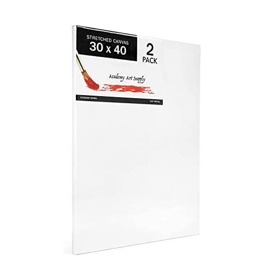Academy Art Supply Stretched Canvases - Value Pack of 2 30 X 40 Canvas Blank, Primed, Gessoed, Acid-Free & Ready-to-use Heavy Cotton Canvas, Ideal for Acrylic Painting, Wet Dry Media & Oil Paint Dry
