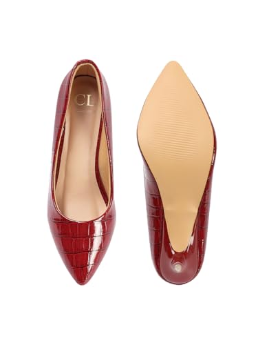 Image of Carlton London Women Stylish Slipon Pump Shoes with Stiletto Heels, Pointed Toe I Perfect for Office, Party and Formal Occassions