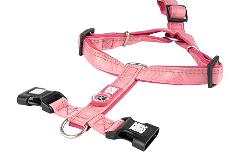Max & Molly Hundegeschirr Matrix 2.0 Rose/S in H-Form, für Hunde mit Gotcha! Smart ID, Geschirr Hund, Neopren Gepolstert & Reflektierende Nähte - Komfort für deinen treuen Begleiter