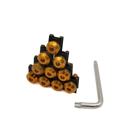 �I�[�g�o�C�{���g �ɓK�p����h�D�J�e�B�p 748/750SS 900SS/1000SS 996/998/B/S/R GT 1000 �I�[�g�o�C�t�F�A�����O�l�W�N���b�v�{�f�B�X�v�����O�{���g(A-Gold-10 blocks)