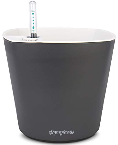 Aquaphoric Self Watering Planter (7”) + Fiber Soil = Foolproof Indoor Garden. Decorative
