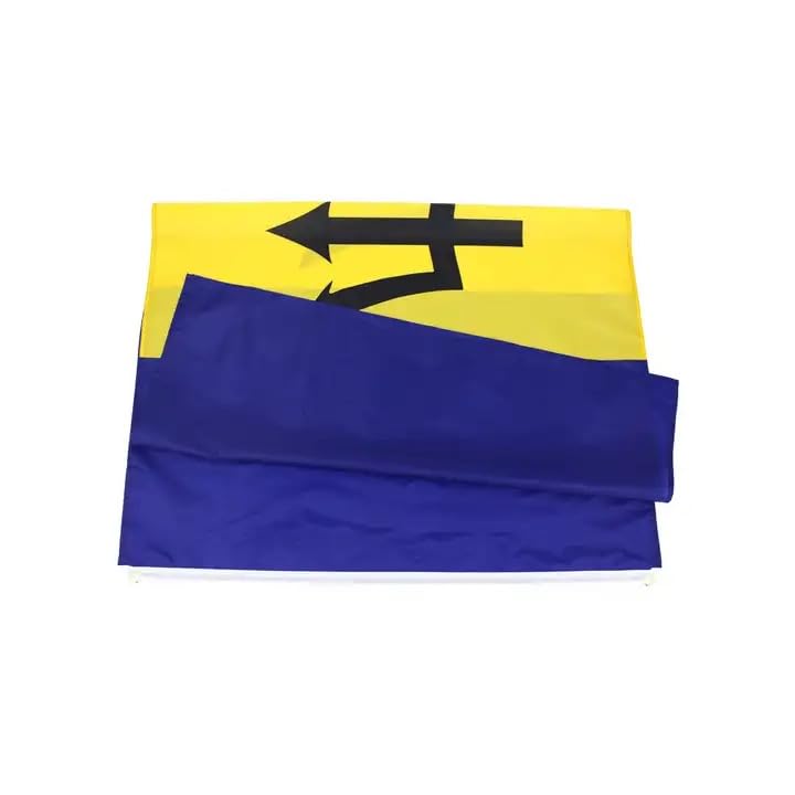 Barbados - 150cm x 90cm Festival Event Flag, Multicolor - Image 3
