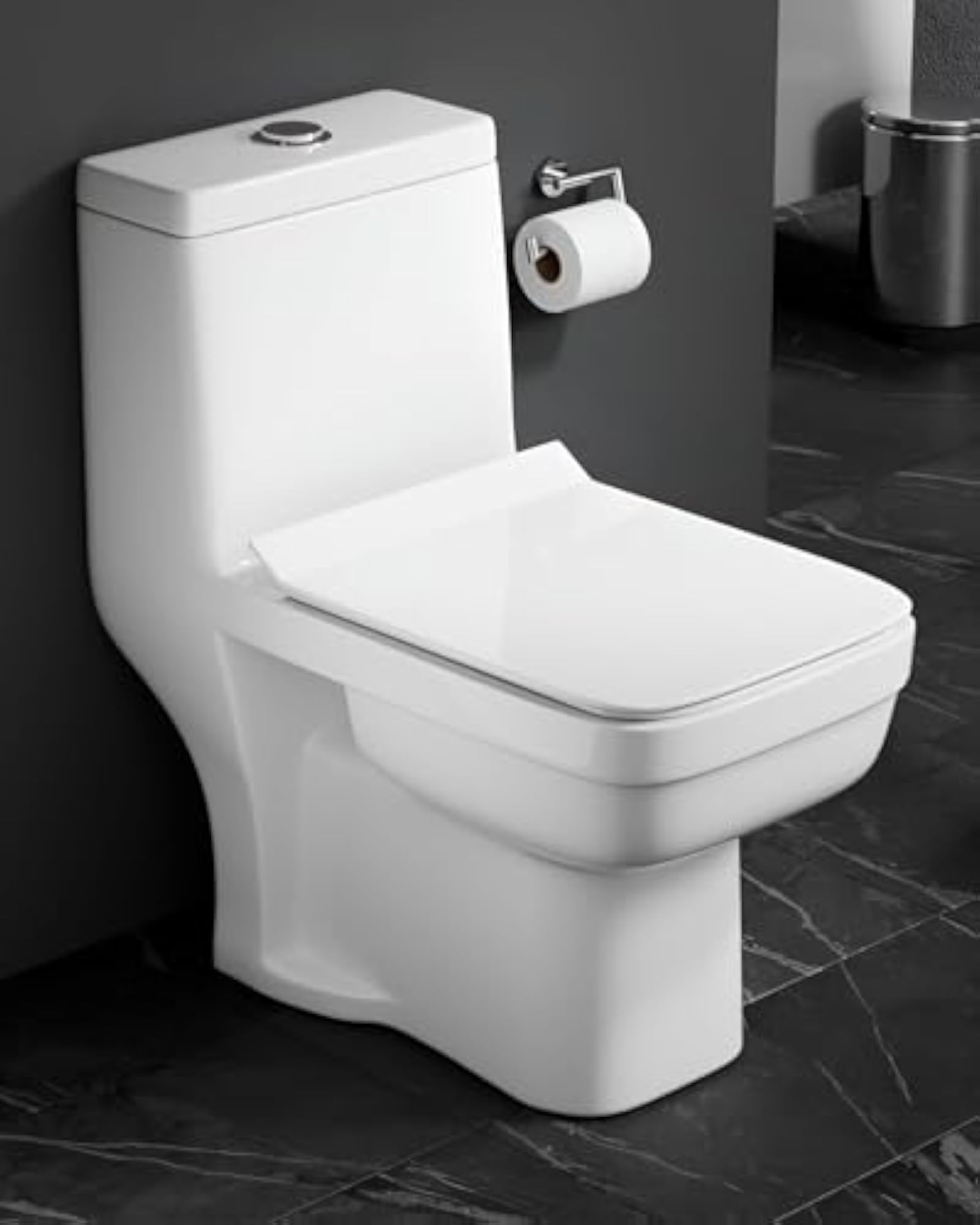 S-Trap Outlet One-Piece Floor Mounted Toilet