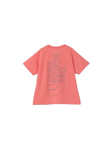 THE NORTH FACE(�U�m�[�X�t�F�C�X) ���� �J�b�g�\�[ T�V���c S/S Big Root Tee �t���[�W�����R�[���� 140