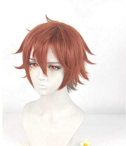 Amazon.co.jp: Ace コスプレウィッグ ツイステッドワンダーランド