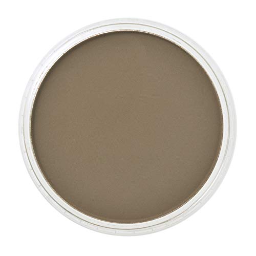 Panpastel 27805 Ultra Soft Artist Pastel, Raw Umber, 780.5 #TOP1