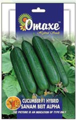 Omaxe Seeds Cucumber F1 Sanam Beit Alpha Vegetable seeds Kitchen Garden Packet (B07MCCZDD9) Amazon Price History, Amazon Price Tracker