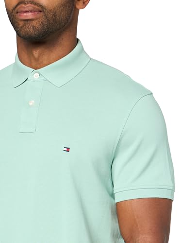 Image of Tommy Hilfiger Men's Short Sleeve Polo Shirts in Regular Fit With Stretch and Organic Pique Cotton