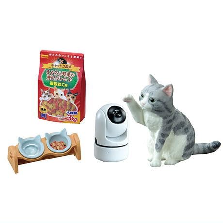 ՂTvV[Y Lc̓ [5.т܂j[](Pi)