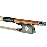 Giuliani Advanced Violin Bow