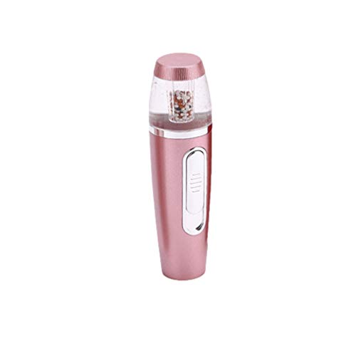 Angyu Mini Facial Recargable de Mano Reposición de Agua Instrumento de Belleza USB Portátil Mist Sprayer Hidratante Cuidado de la Piel (Oro,2.8 * 3.9 * 13.9 cm)