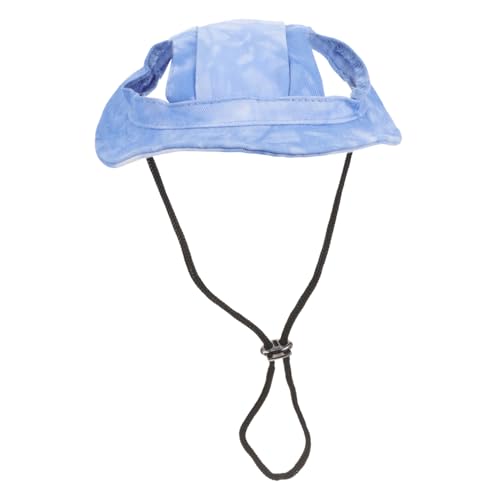 SEWACC ybgp \Rb nbg ^LΉ O΍ 悯Xq 