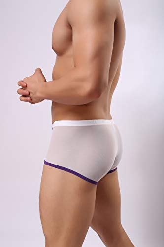 Men's Silky Comfort Sexy See-Through Mesh Boxer Briefs Underwear2