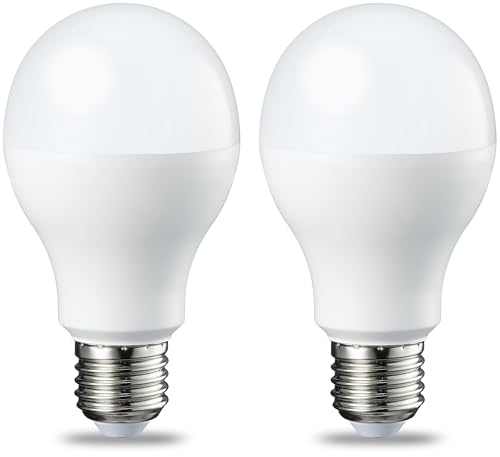 Amazon Basics Lot de 2 ampoules LED Culot Edison à vis E27 13 W (équivalent 100 W) Blanc froid Intensité non variable