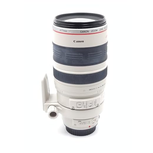 Canon EF 100-400mm Telephoto Zoom Lens