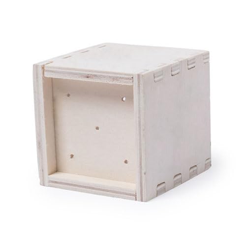 DISOK Lotto di 10 vasi biodegradabili semi menta in scatola di legno. Dettagli vasi bio matrimonio, battesimi e comunioni.