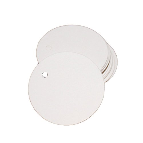 Teensery 100 Pcs Round Shape Blank Cards Paper Tags Label Price Tag Wedding Party Name Card Gift Tags Hanging Tag with String (White)