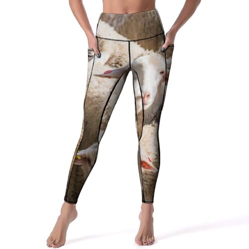 Legging de sport yoga femme taille haute pantalon de fitness gym