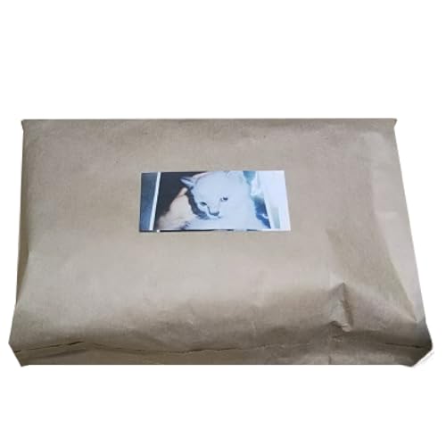 しろちゃん 有機原料100%使用 珈琲豆 400g