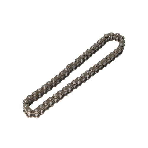 Chaîne moto 23319-E10-100 de distribution robuste pour Triton Baja 250 300 400