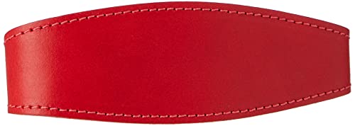 BBD Luxuriöses Hundehalsband für Rennhunde, rot