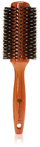 Ion Golden Wood Boar/Porcupine Round Brush Large