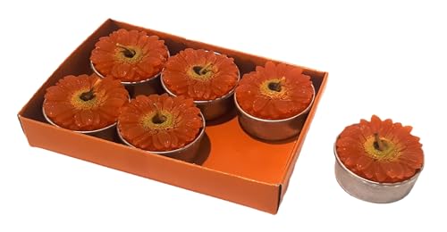 Set 6 candele t-light gerbera d. 4 cm