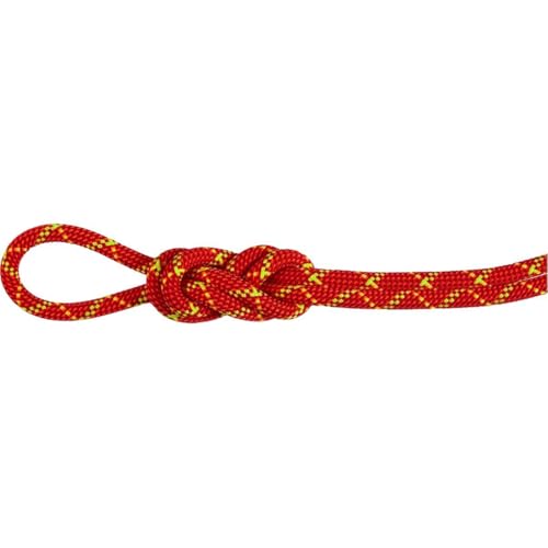 Mammut 8.0 Alpine Core Protect Dry Rope 40m