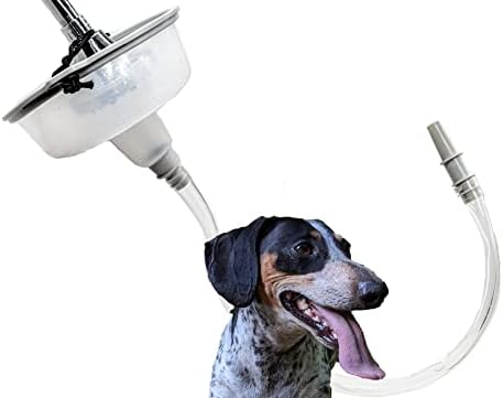 The Magic Shower Dog Wash Attachment | Pet Shower Handheld Sprayer | 6ft Length | Tool Free, Gentle Flow | Dog Grooming Tool