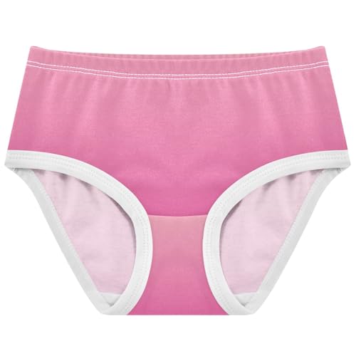 Joisal Blush Pink Camellia Gradient Cute Panties Girl Girls Underwear Toddler Cotton Flower Undies Kids Briefs 2t