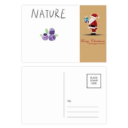 Cartes postales Père Noël Soloisland Blueberry Plant | Lot de 20