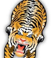 X-Kites SkyZoo Tiger Kite 59"